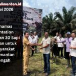 Minamas Plantation salurkan 30 sapi kurban untuk masyarakat Kalimantan Tengah sebagai wujud kepedulian sosial pada momen Idul Adha.