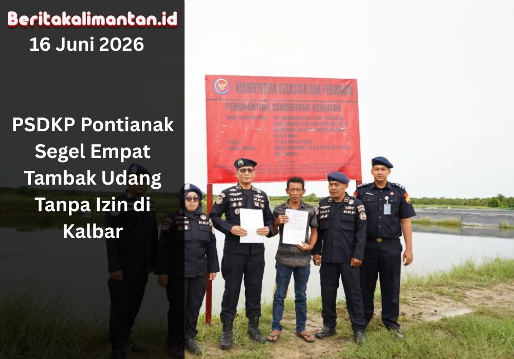 PSDKP Pontianak menyegel empat tambak udang vaname di Kalbar karena dugaan pelanggaran izin, sertifikasi, dan penggunaan obat ikan tak terdaftar.