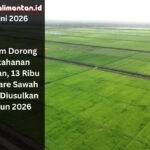 DPTPH Kaltim usulkan 13 ribu hektare sawah baru pada 2026 untuk memperkuat ketahanan pangan dan produksi beras daerah.