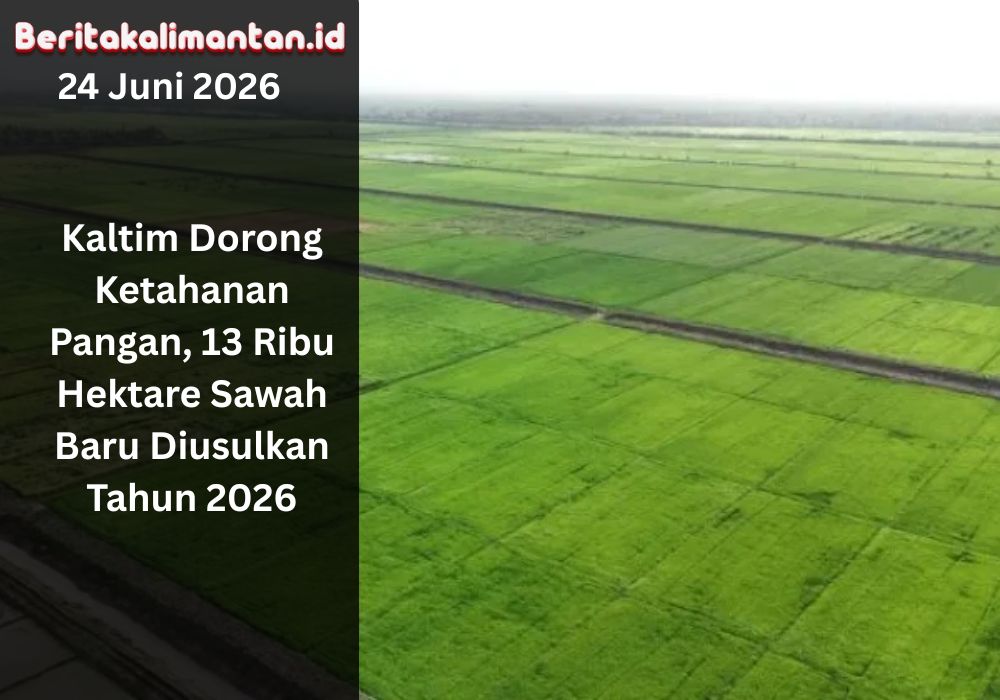 DPTPH Kaltim usulkan 13 ribu hektare sawah baru pada 2026 untuk memperkuat ketahanan pangan dan produksi beras daerah.