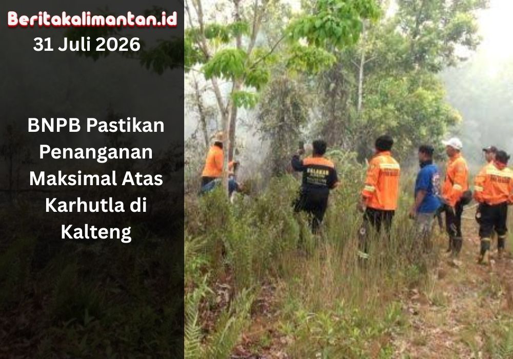 BNPB memastikan penanganan karhutla di Kalimantan Tengah dilakukan maksimal melalui pengerahan personel, pemadaman darat, dan dukungan udara.